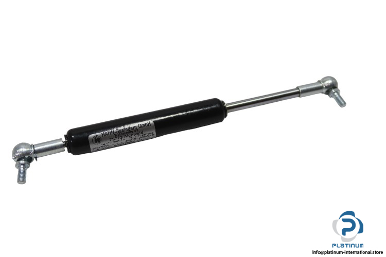 hahn-gasfedern-203598.1-gas-spring-actuator-(New)