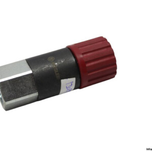 Riegler ISO 6150C Swivel Safety Coupling