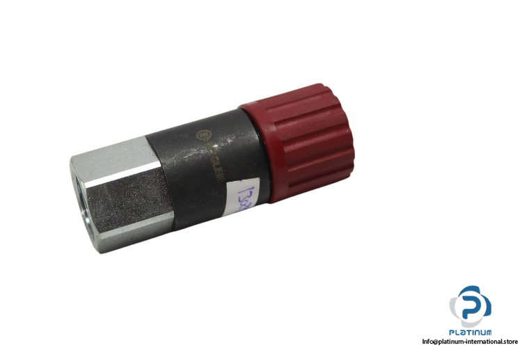 Riegler-ISO6150C-swivel-safety-coupling(new)
