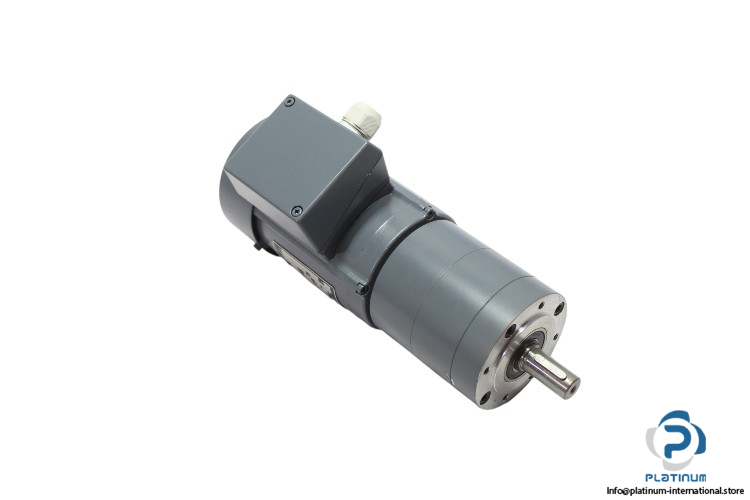 th.zurrer-LFV55_4-90GPL-5690522-motor-new
