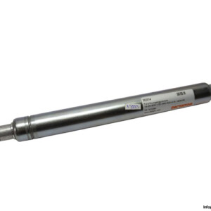 Dictator Technik 14-28-200-1/OI-300-500-A-A Door Opening Limiter