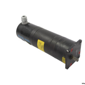 Berger Lahr RSM 65/4 VG Gear Motor