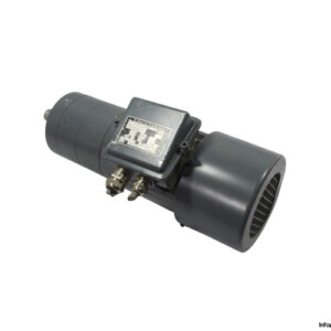 Th.zurrer TFHFV65/4-120GPL Motor