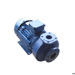 Lowara FHE 65-160/150/P Centrifugal Pump