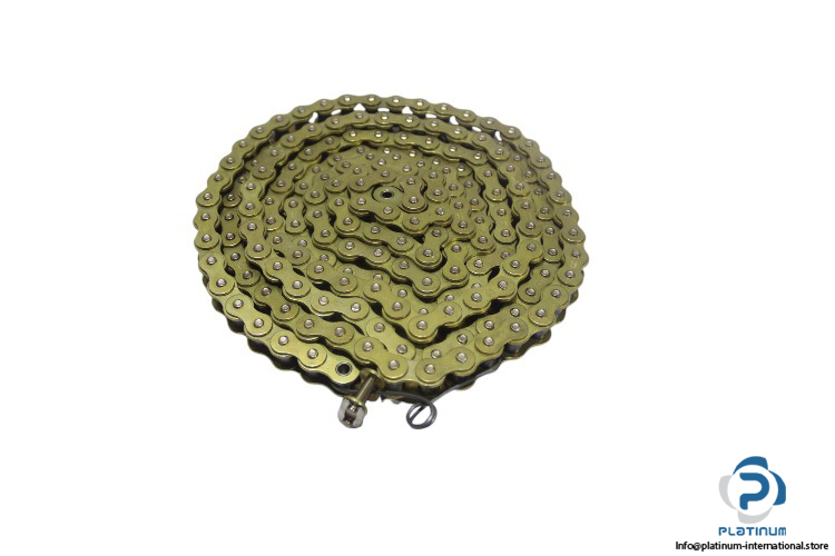 regina-136BS_000-maintenance-chain-new