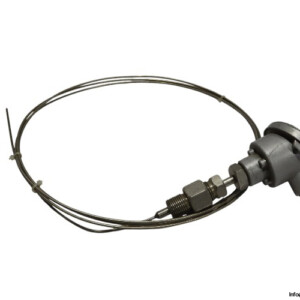 Watlow RTD-PT100-OHM Temperature Sensor