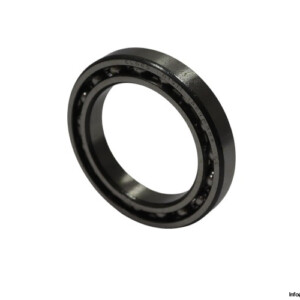 Elges 61911 Deep Groove Ball Bearing