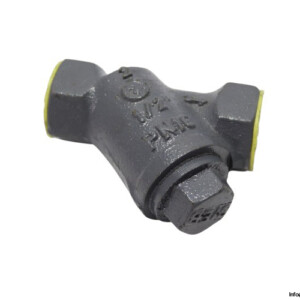 EN-JL1040 GG-25 Flanged Check Valve