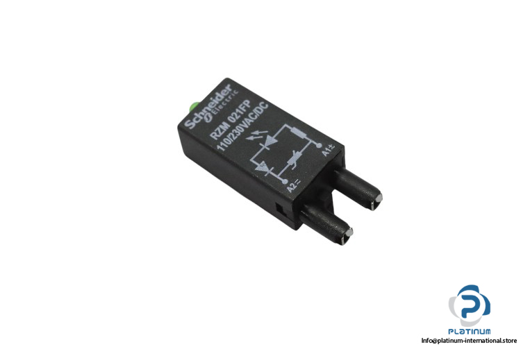 schneider-RZM021FP-protection-module-(new)