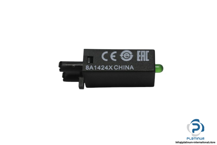 schneider-RZM021FP-protection-module-(new)-1