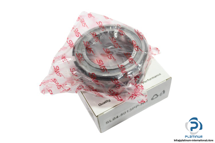 SL04-5013PP-NR-double-row-cylindrical-roller-bearing-new-carton-1