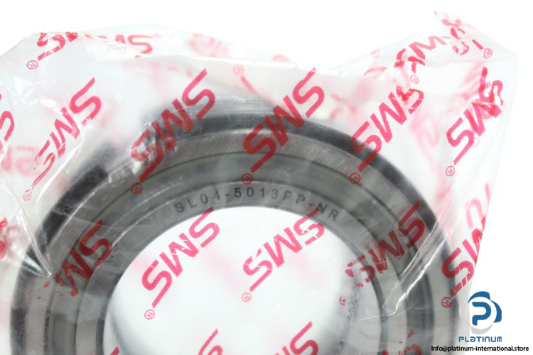 SL04-5013PP-NR-double-row-cylindrical-roller-bearing-new-carton-2