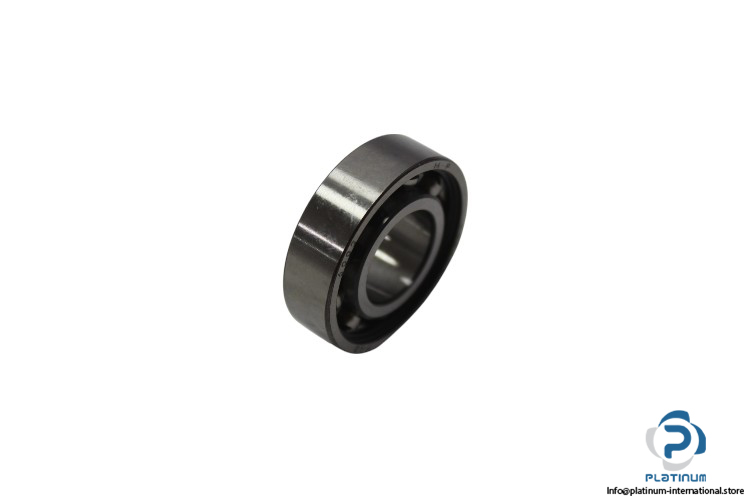 fag-6002-deep-groove-ball-bearing-new
