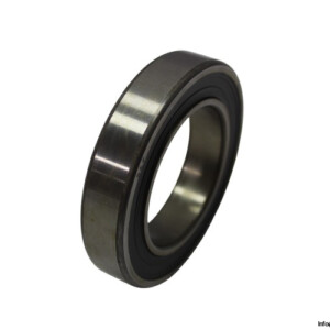 skf-6011-2RS1-deep-groove-ball-bearing-new