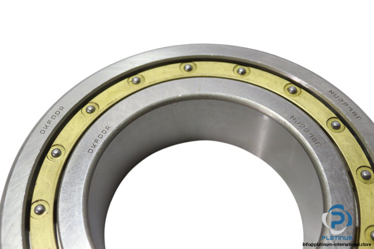 dkfddr-NJ2218E-cylindrical-roller-bearing-new-1
