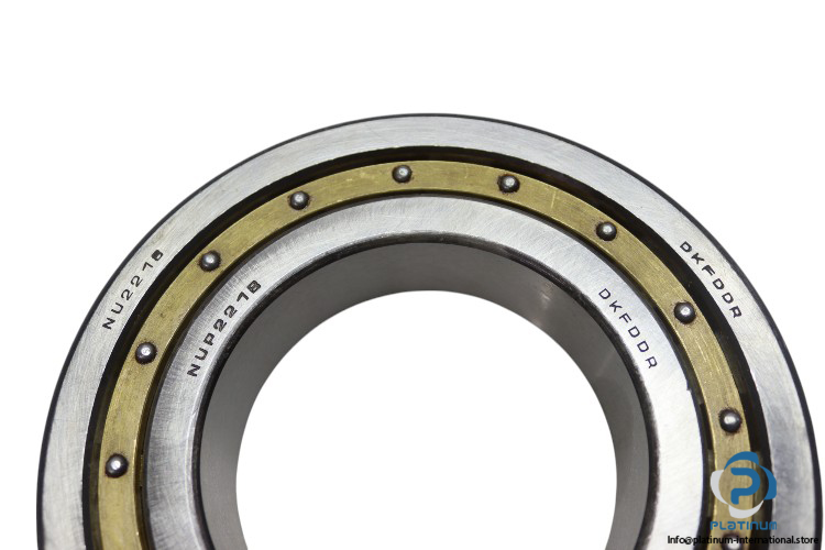 dkfddr-NUP2218-cylindrical-roller-bearing-new-1