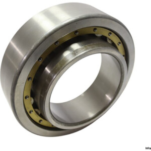 DKF NU2226 Cylindrical Roller Bearing