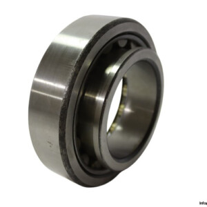 SKF NJ2219 Cylindrical Roller Bearing