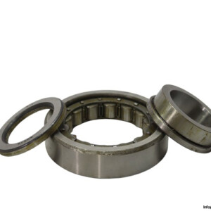 riv-9DBV-9DB_Z-cylindrical-roller-bearing-new