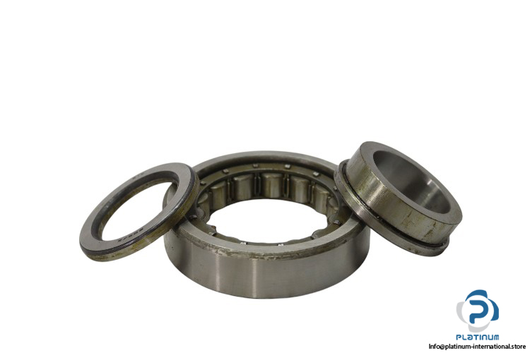 riv-9DBV-9DB_Z-cylindrical-roller-bearing-new