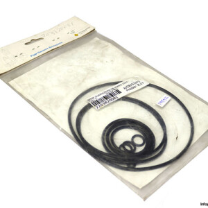 flygt-2203820081-ring-kit-(new)