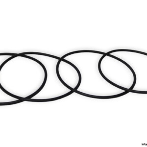flender-17261242-ring-seal-kit-(new)