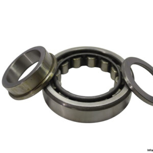 RIV 11 Dbvz Cylindrical Roller Bearing