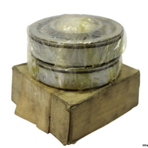 Dkfddr NU 310 E P6 Cylindrical Roller Bearing
