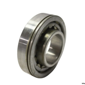 Dkfddr NU 310 E P6 Cylindrical Roller Bearing