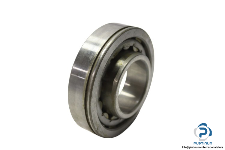 dkfddr-NU-310-E-P6-cylindrical-roller-bearing-new