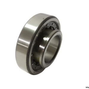 riv-12DBV-12DB_Q-cylindrical-roller-bearing-new-carton