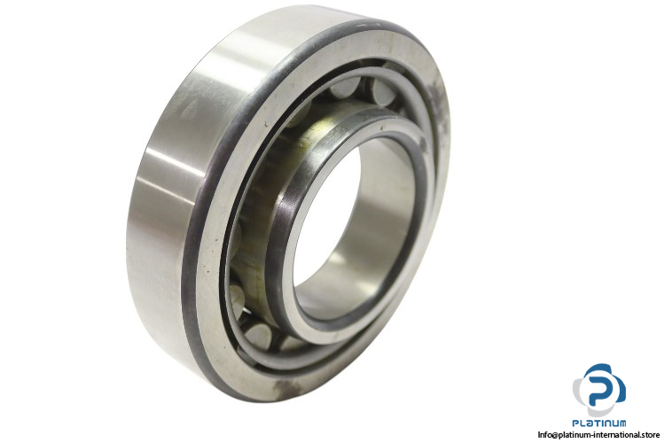 fag-N310-cylindrical-roller-bearing-used