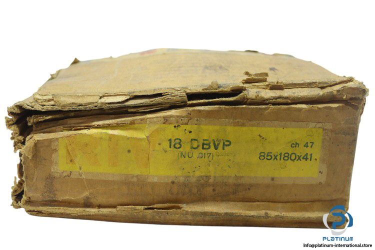 riv-18DBVP-cylindrical-roller-bearing-new-carton-1