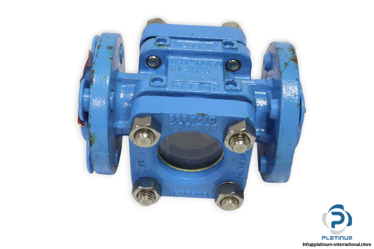 flowserve-ASG-0000943-flanged-flow-indicator-used-1