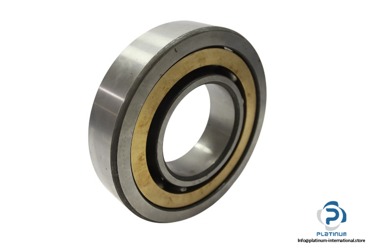 riv-20BON_7319-angular-contact-ball-bearing-new