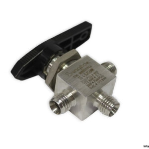 Swagelok SS-43GXS6MM Ball Valve