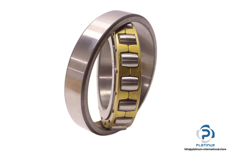 fag-20213-K.MB-barrel-roller-bearing-new