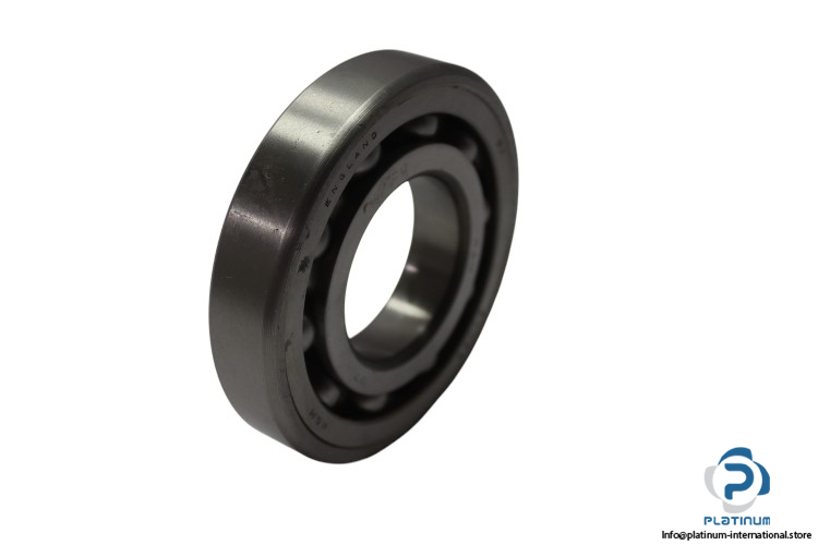 r_m-SLJS2-ball-bearing-new