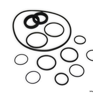 Jabsco 24084-9100B O Ring KIT