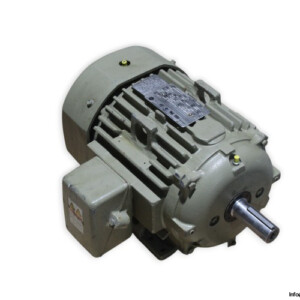 GE 5KS215SAA108D1 3 Phase Electric Motor