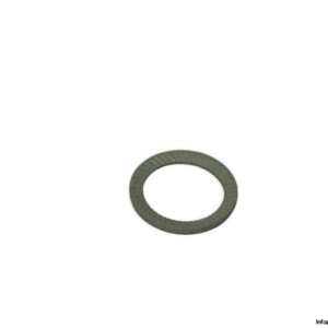 Fabory 36425.120.001 Schnorr Safety Washer
