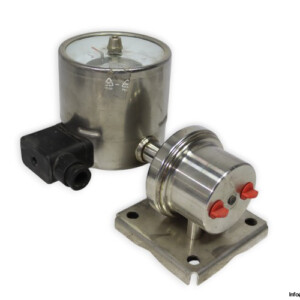 Fischer DA0906GM01SW000B0010 Pressure Gauge