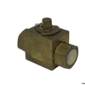 Argus 3021-0012-594104 Ball Valve