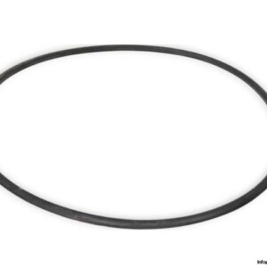 161 486 967 O-Ring Seal
