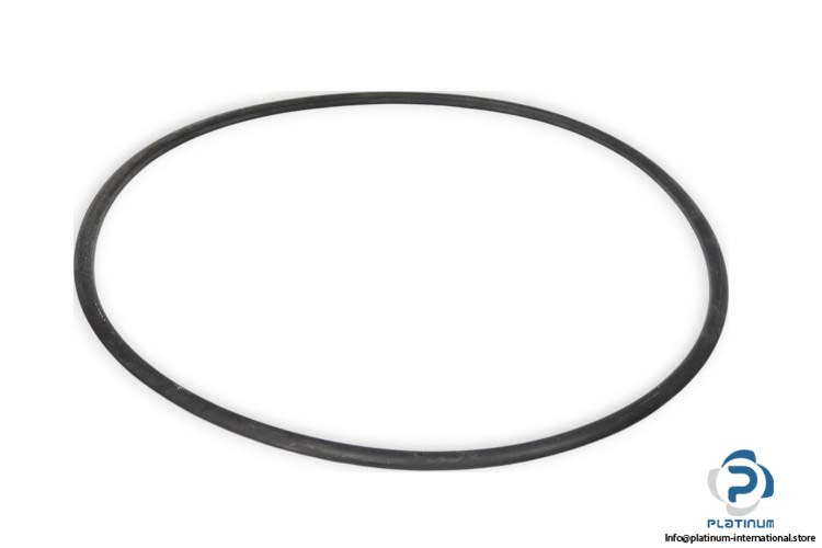161-486-967-o-ring-seal-new