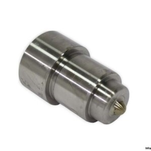 Wartsila 4503975763 Fuel Injector Nozzle