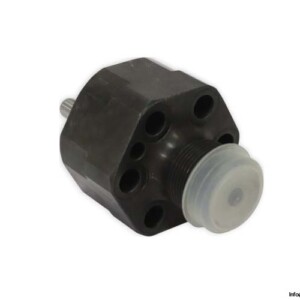 Wartsila 4504281081 Fuel Injector