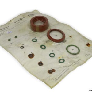 Rexroth CD250.080/045.VA Seal KIT