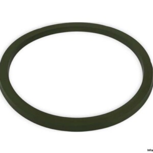 westring-Z8-G014-V3681-piston-seal-new