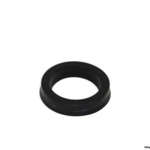 Hanchen 2BT2A2PA Seal KIT